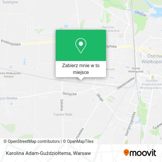 Mapa Karolina Adam-Guździołtema