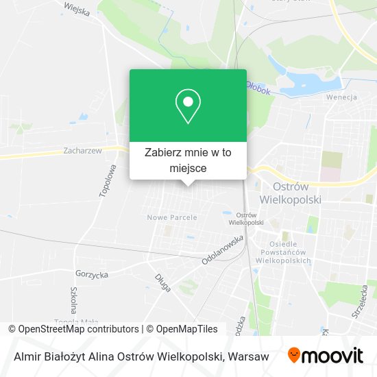 Mapa Almir Białożyt Alina Ostrów Wielkopolski