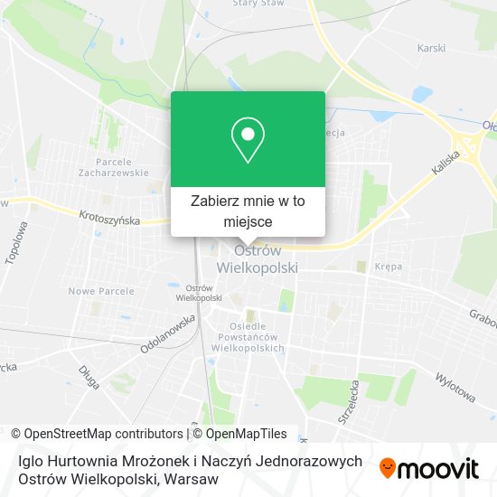 Mapa Iglo Hurtownia Mrożonek i Naczyń Jednorazowych Ostrów Wielkopolski