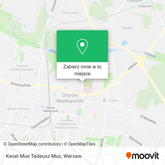 Mapa Kwiat Mus Tadeusz Mus