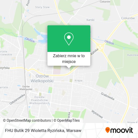 Mapa FHU Butik 29 Wioletta Ryzińska