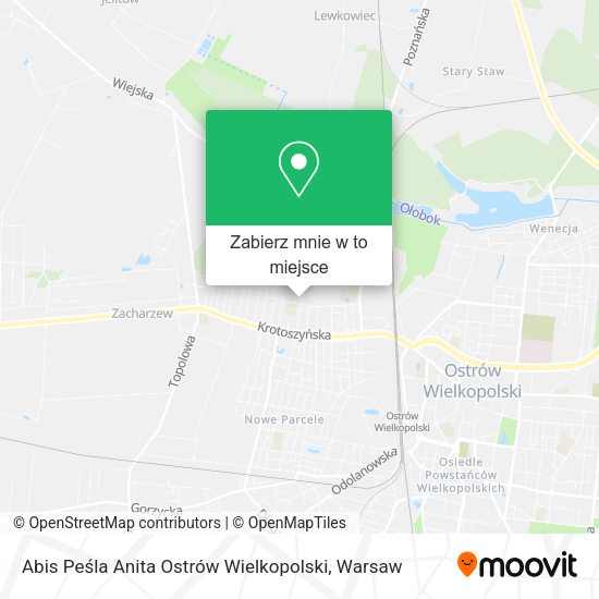 Mapa Abis Peśla Anita Ostrów Wielkopolski