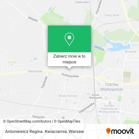 Mapa Antoniewicz Regina. Kwiaciarnia