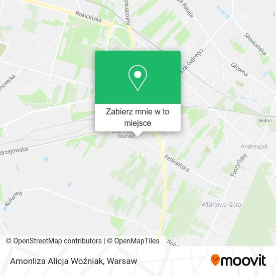 Mapa Amonliza Alicja Woźniak