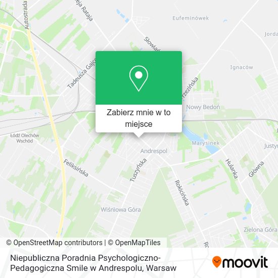 Mapa Niepubliczna Poradnia Psychologiczno-Pedagogiczna Smile w Andrespolu