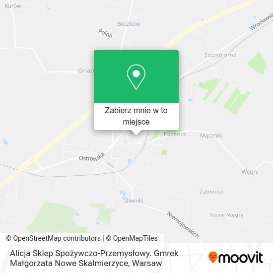 Mapa Alicja Sklep Spożywczo-Przemysłowy. Gmrek Małgorzata Nowe Skalmierzyce