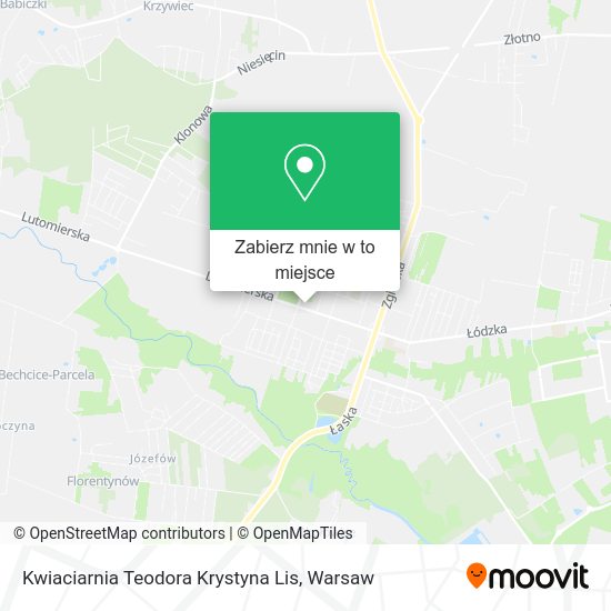 Mapa Kwiaciarnia Teodora Krystyna Lis