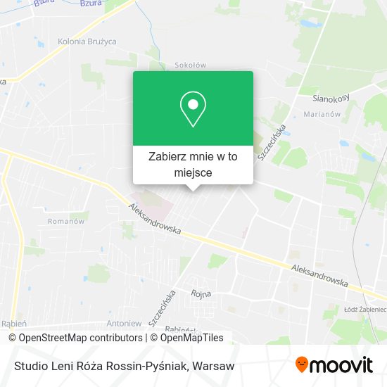 Mapa Studio Leni Róża Rossin-Pyśniak