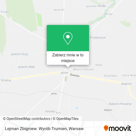 Mapa Lejman Zbigniew. Wyrób Trumien