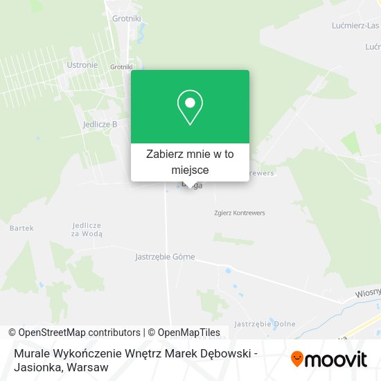 Mapa Murale Wykończenie Wnętrz Marek Dębowski - Jasionka