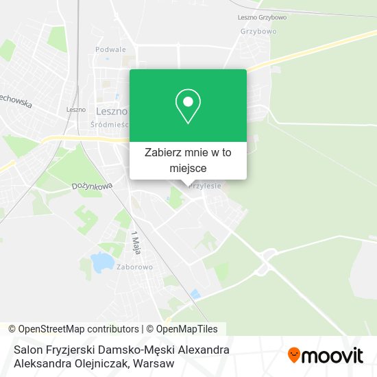 Mapa Salon Fryzjerski Damsko-Męski Alexandra Aleksandra Olejniczak