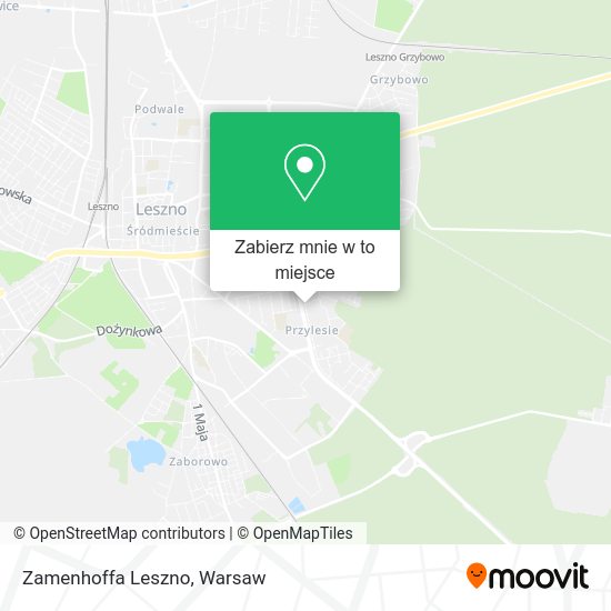 Mapa Zamenhoffa Leszno