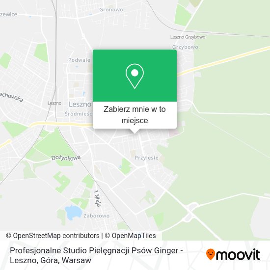 Mapa Profesjonalne Studio Pielęgnacji Psów Ginger - Leszno, Góra