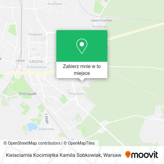 Mapa Kwiaciarnia Kocimiętka Kamila Sobkowiak