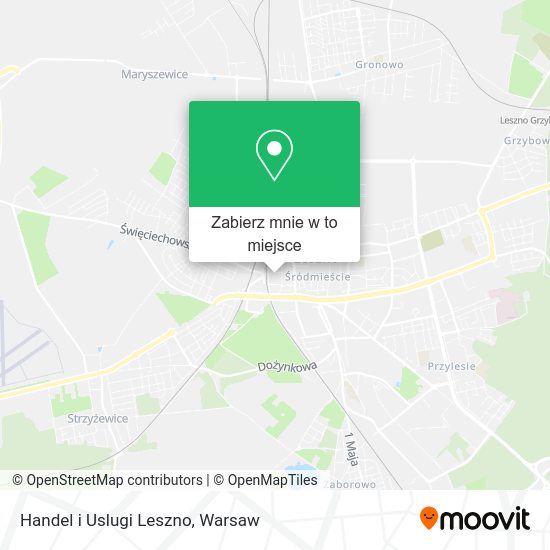 Mapa Handel i Uslugi Leszno