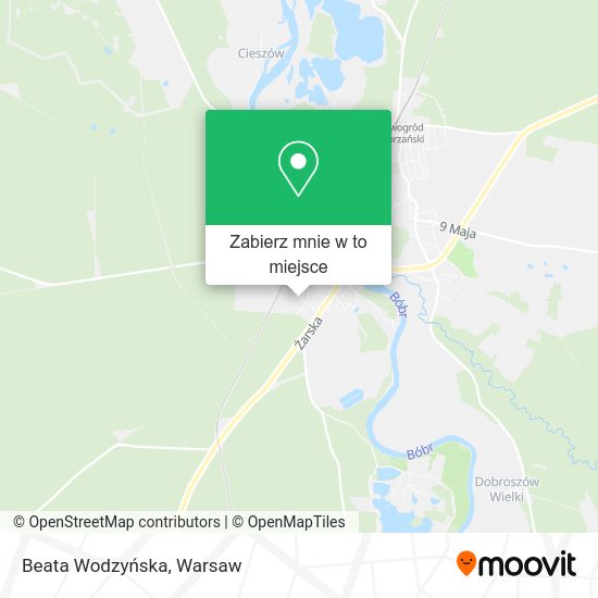 Mapa Beata Wodzyńska