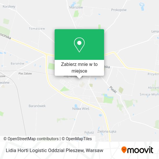 Mapa Lidia Horti Logistic Oddzial Pleszew