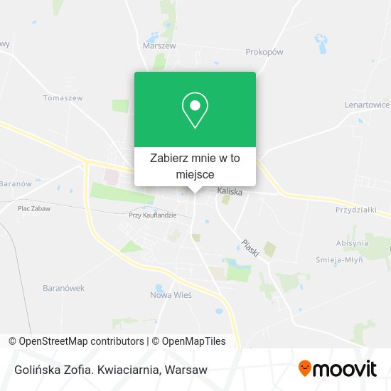 Mapa Golińska Zofia. Kwiaciarnia