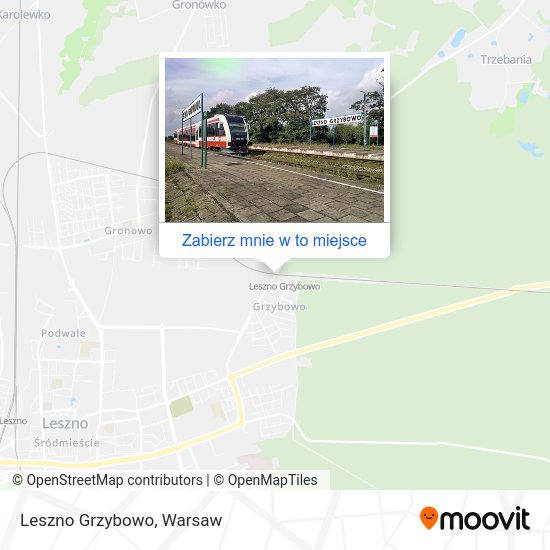 Mapa Leszno Grzybowo