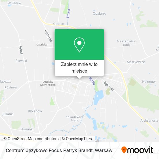 Mapa Centrum Językowe Focus Patryk Brandt