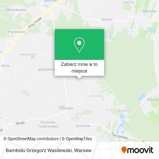 Mapa Bambidu Grzegorz Wasilewski