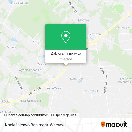 Mapa Nadleśnictwo Babimost