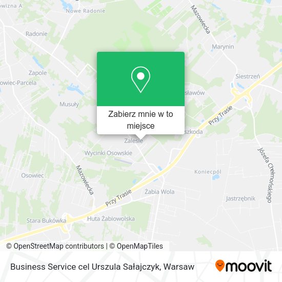 Mapa Business Service cel Urszula Sałajczyk