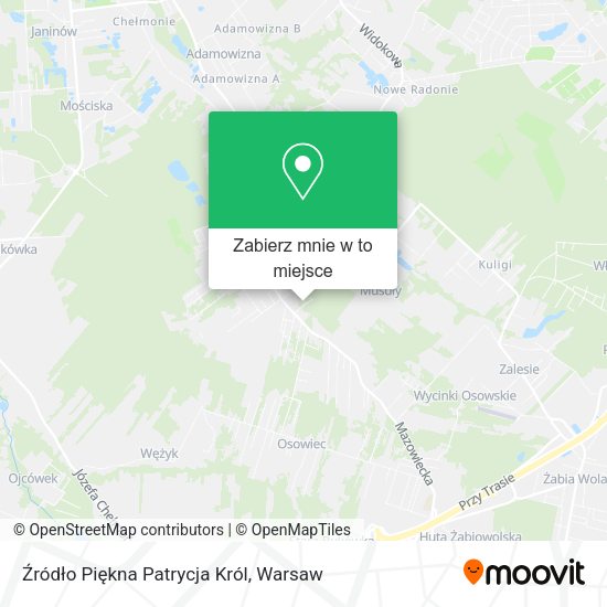 Mapa Źródło Piękna Patrycja Król