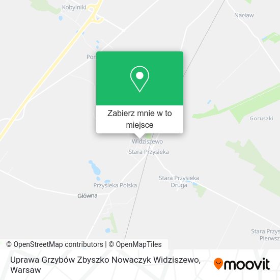 Mapa Uprawa Grzybów Zbyszko Nowaczyk Widziszewo