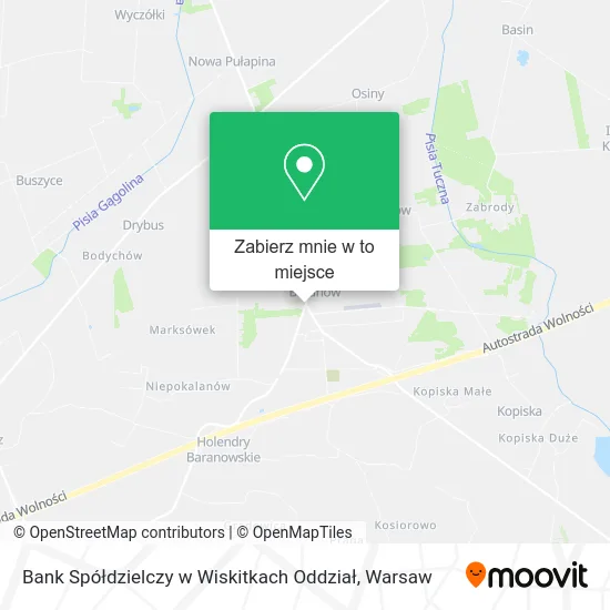 Mapa Bank Spółdzielczy w Wiskitkach Oddział