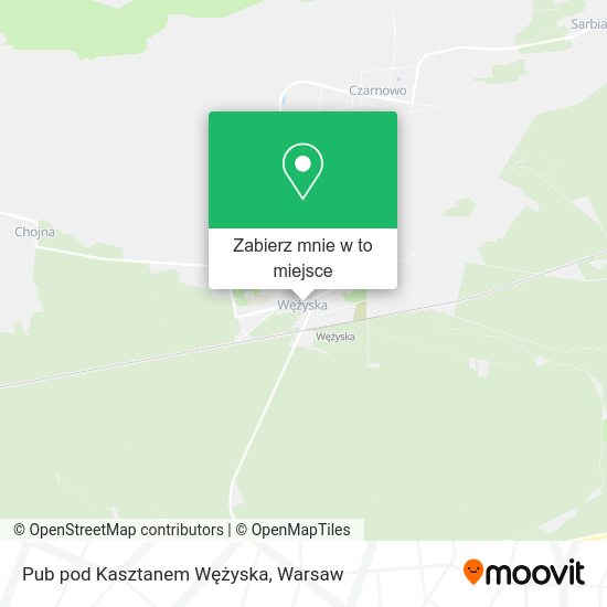 Mapa Pub pod Kasztanem Wężyska