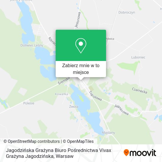 Mapa Jagodzińska Grażyna Biuro Pośrednictwa Vivax Grażyna Jagodzińska