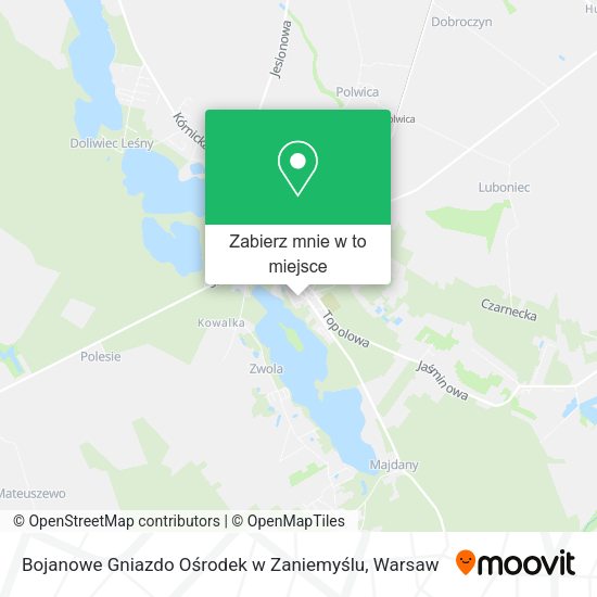 Mapa Bojanowe Gniazdo Ośrodek w Zaniemyślu