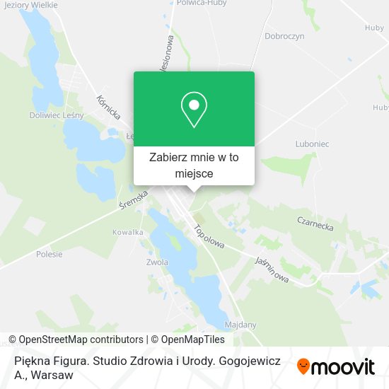 Mapa Piękna Figura. Studio Zdrowia i Urody. Gogojewicz A.