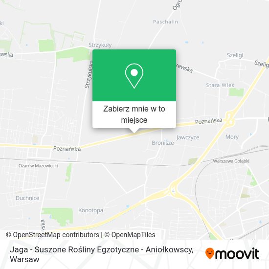 Mapa Jaga - Suszone Rośliny Egzotyczne - Aniołkowscy