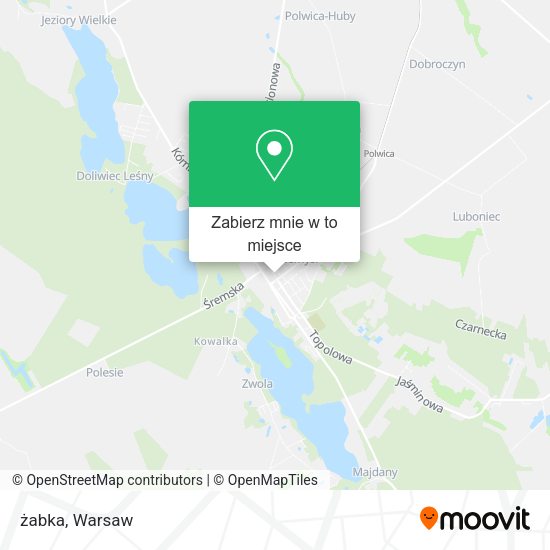 Mapa żabka