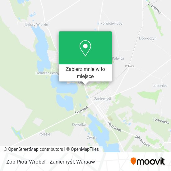 Mapa Zob Piotr Wróbel - Zaniemyśl