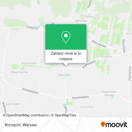 Mapa Borzęcin