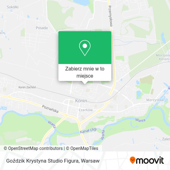 Mapa Goździk Krystyna Studio Figura