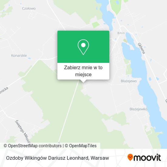 Mapa Ozdoby Wikingów Dariusz Leonhard