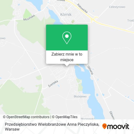 Mapa Przedsiębiorstwo Wielobranżowe Anna Pieczyńska