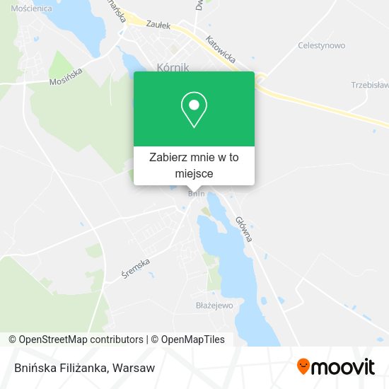 Mapa Bnińska Filiżanka