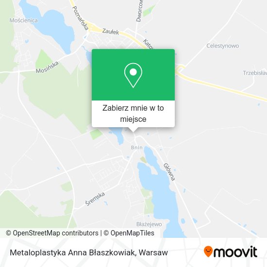 Mapa Metaloplastyka Anna Błaszkowiak