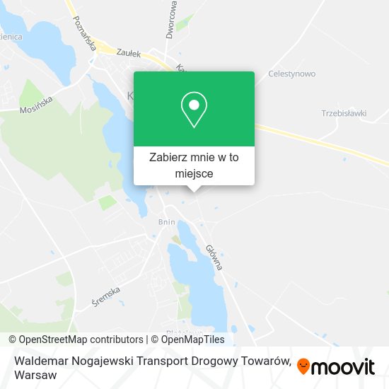 Mapa Waldemar Nogajewski Transport Drogowy Towarów