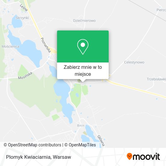 Mapa Plomyk Kwiaciarnia