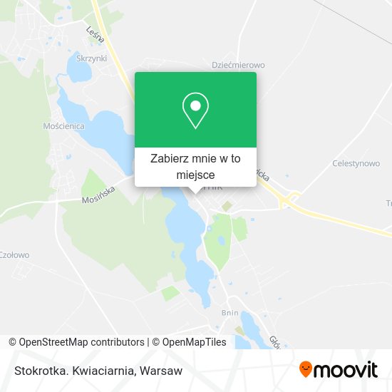 Mapa Stokrotka. Kwiaciarnia