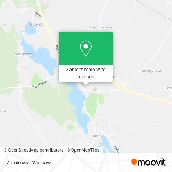 Mapa Zamkowa