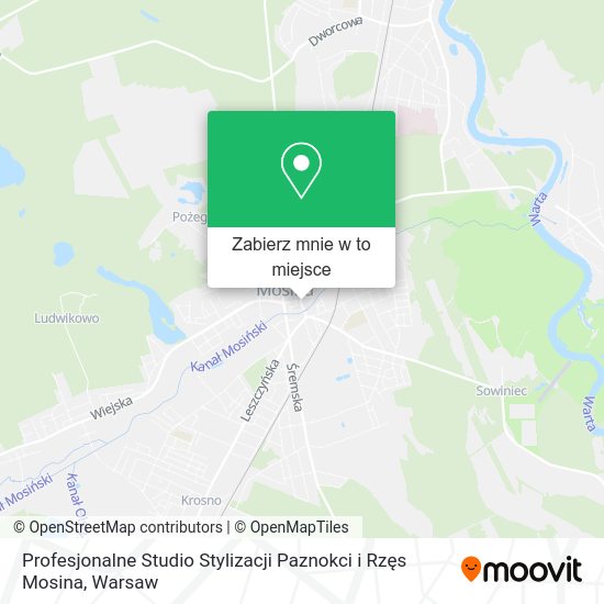 Mapa Profesjonalne Studio Stylizacji Paznokci i Rzęs Mosina