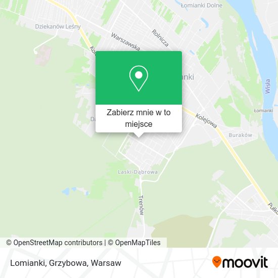 Mapa Lomianki, Grzybowa