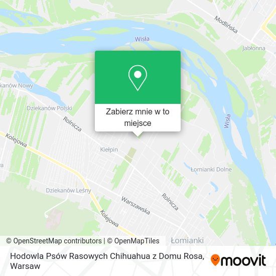 Mapa Hodowla Psów Rasowych Chihuahua z Domu Rosa